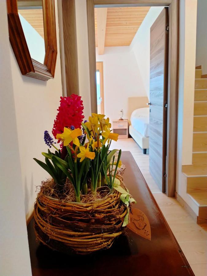 Antico Melo B&B Vignole Экстерьер фото
