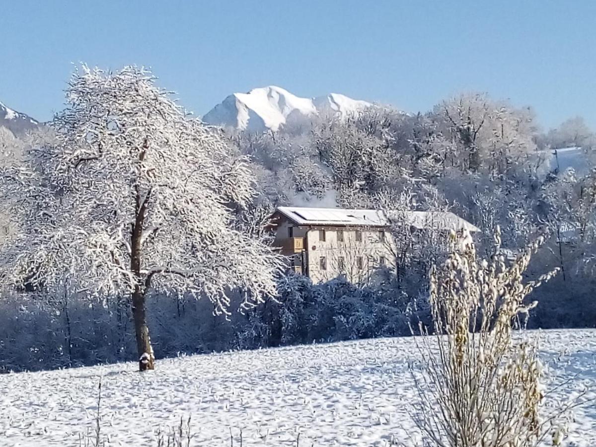 Antico Melo B&B Vignole Экстерьер фото